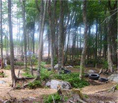 Some of the surrounding nature by Creative Kids Education Centre